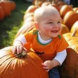 Anderson's Pleasant Patch Pumpkins photo