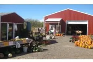 Anderson's Pleasant Patch Pumpkins