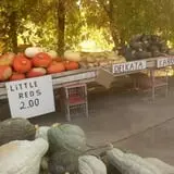 Landers Pumpkin Patch photo