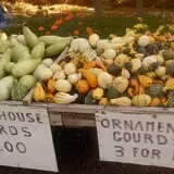 Landers Pumpkin Patch photo