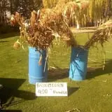 Landers Pumpkin Patch photo
