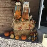 Landers Pumpkin Patch photo