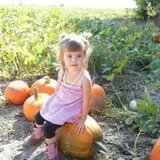Landers Pumpkin Patch photo