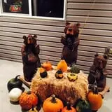 Landers Pumpkin Patch photo