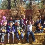 Landers Pumpkin Patch photo