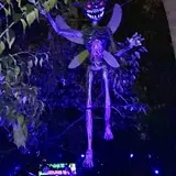 In the Night