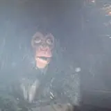 RC Haunted House photo