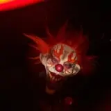 RC Haunted House photo