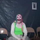 RC Haunted House photo