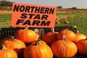 Northern Star Farm Fall Festival