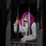 Lake Joy Trails of Terror photo
