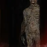 Lake Joy Trails of Terror