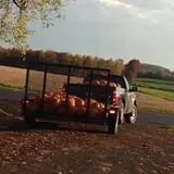 Pumpkin Palooza Fall Festival photo