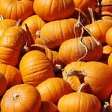 Pumpkin Palooza Fall Festival photo