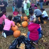 Pumpkin Palooza Fall Festival photo