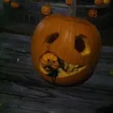 Pumpkin Palooza Fall Festival photo