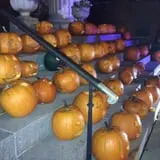 Pumpkin Palooza Fall Festival photo