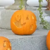 Pumpkin Palooza Fall Festival photo