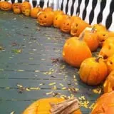 Pumpkin Palooza Fall Festival photo