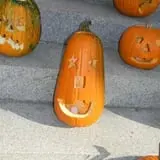 Pumpkin Palooza Fall Festival photo