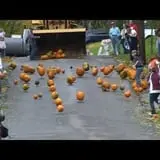Pumpkin Palooza Fall Festival photo