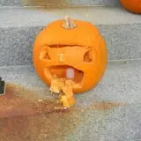 Pumpkin Palooza Fall Festival photo
