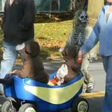 Pumpkin Palooza Fall Festival photo
