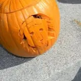 Pumpkin Palooza Fall Festival photo