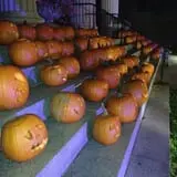 Pumpkin Palooza Fall Festival photo