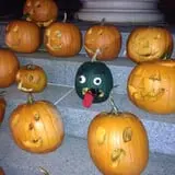 Pumpkin Palooza Fall Festival photo