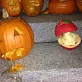 Pumpkin Palooza Fall Festival photo