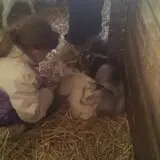Grandpa Tiny's Farm photo