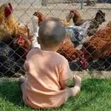 Grandpa Tiny's Farm photo