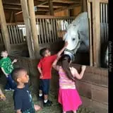 Grandpa Tiny's Farm photo