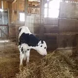 Grandpa Tiny's Farm photo