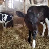 Grandpa Tiny's Farm photo