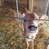 Grandpa Tiny's Farm photo