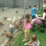 Grandpa Tiny's Farm photo