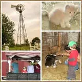 Grandpa Tiny's Farm photo