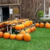 Grandpa Tiny's Farm photo