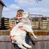 Grandpa Tiny's Farm photo