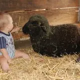 Grandpa Tiny's Farm photo