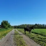 Grandpa Tiny's Farm photo