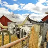 Grandpa Tiny's Farm photo