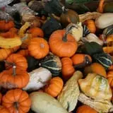Spoth's Farm Market photo