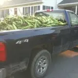 Spoth's Farm Market photo