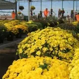 Spoth's Farm Market photo