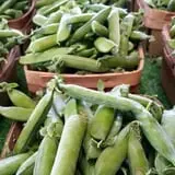 Spoth's Farm Market photo