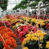 Spoth's Farm Market photo