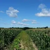 Spoth's Farm Market photo